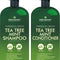 Mint Shampoo and Conditioner - Tea Tree and Peppermint Oils - Promotes Hair Growth, Fights Dandruff, Lice & Itchy Scalp - Sulfate-Free for Men and Women - 16 fl oz x 2