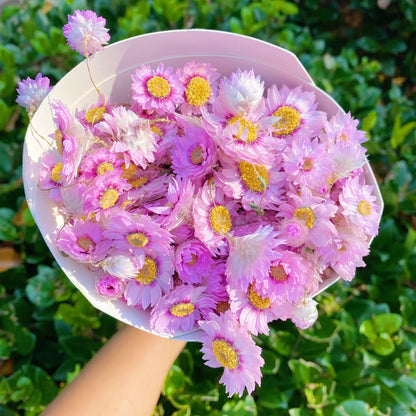 Captured Beauty Dried Flower Bunch