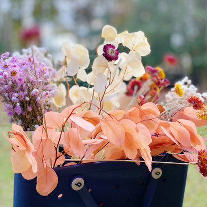 Captured Beauty Dried Flower Bunch