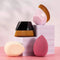 Belle & Rose™ Beauty Blenders/Foundation Brushes Set