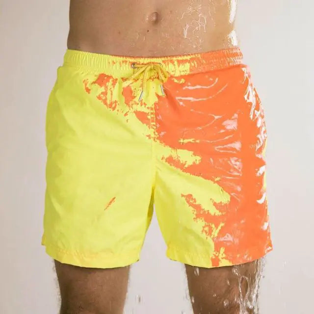 Men's Polyester Shorts