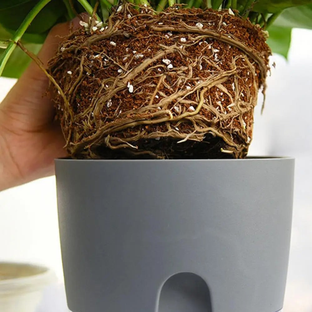 Double Layer Self Watering Flowerpot