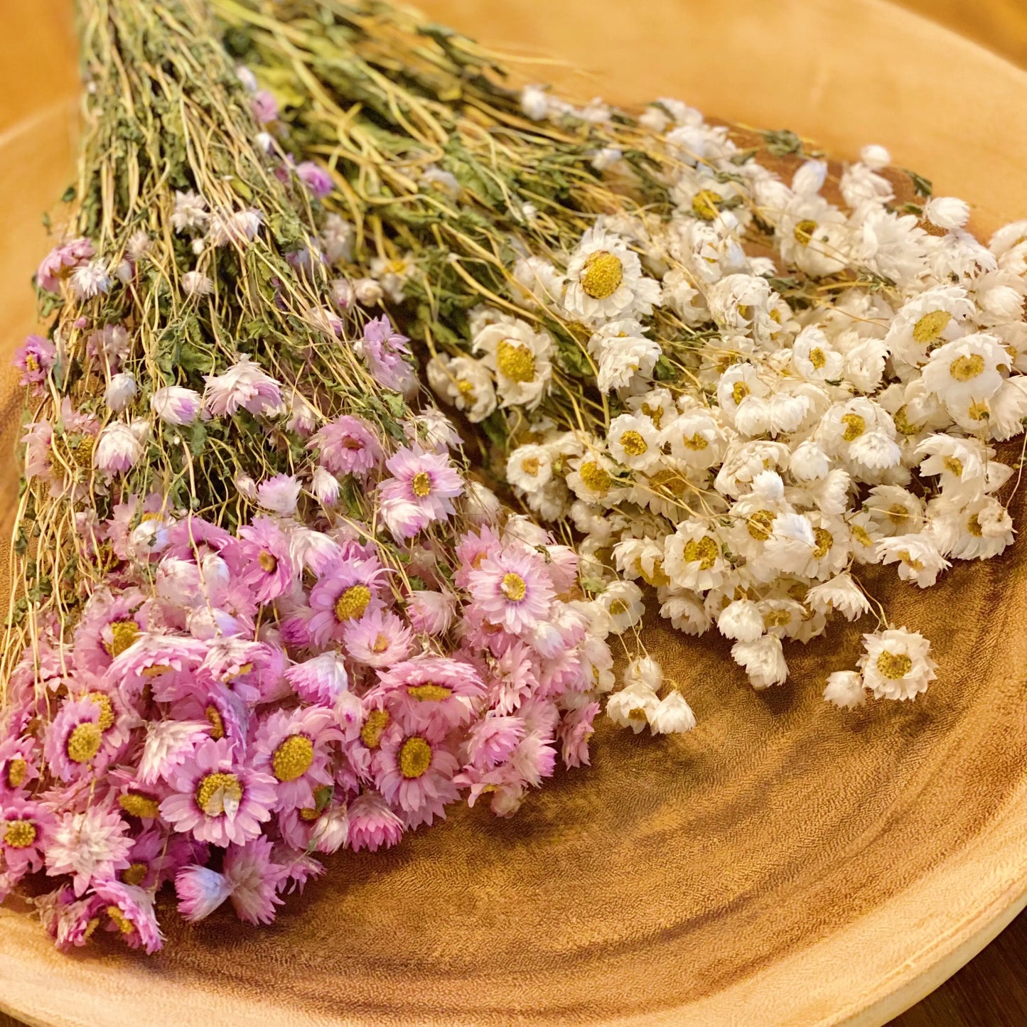 Captured Beauty Dried Flower Bunch