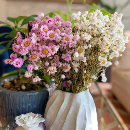 Captured Beauty Dried Flower Bunch