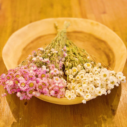 Captured Beauty Dried Flower Bunch